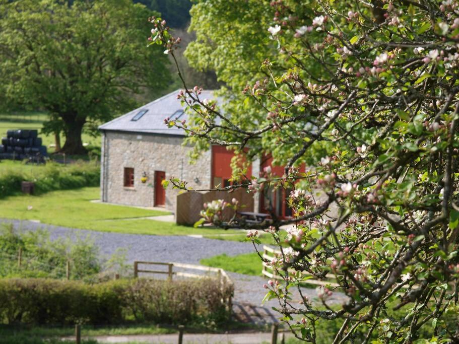 Peregrine Stable Cottage Llandovery Exteriör bild