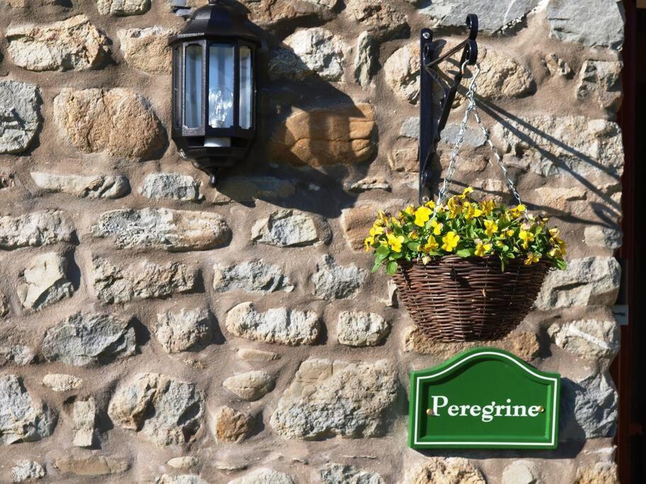 Peregrine Stable Cottage Llandovery Exteriör bild